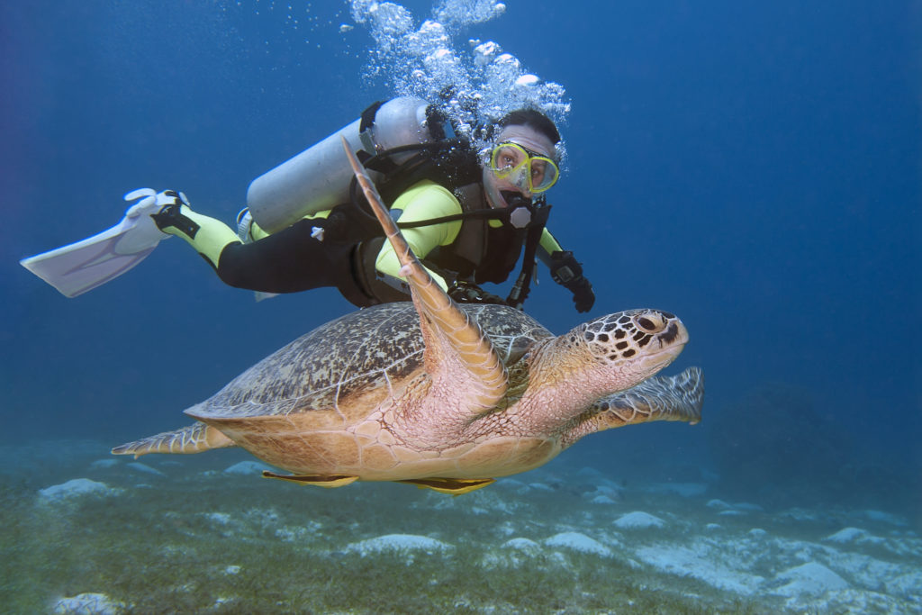 A man scuba diving with a tortoise. The image shows a diver underwater, swimming alongside a tortoise